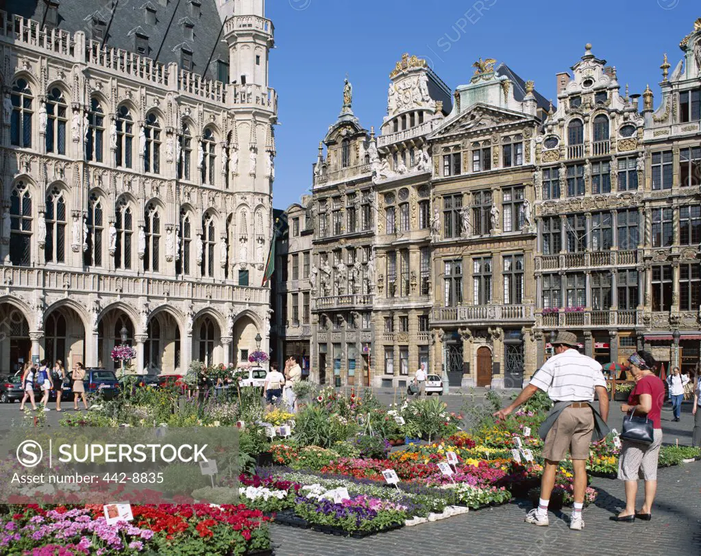 Rear view of two people standing at a flower market, Grand Place, Brussels, Belgium