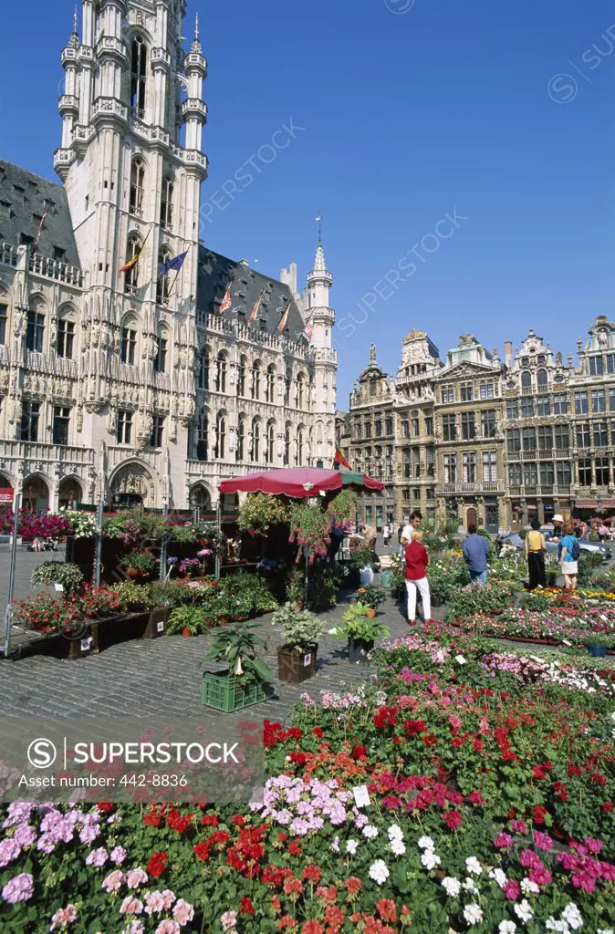 Group of people at a flower market, Grand Place, Brussels, Belgium