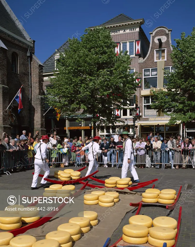 Cheese Market, Alkmaar, Netherlands