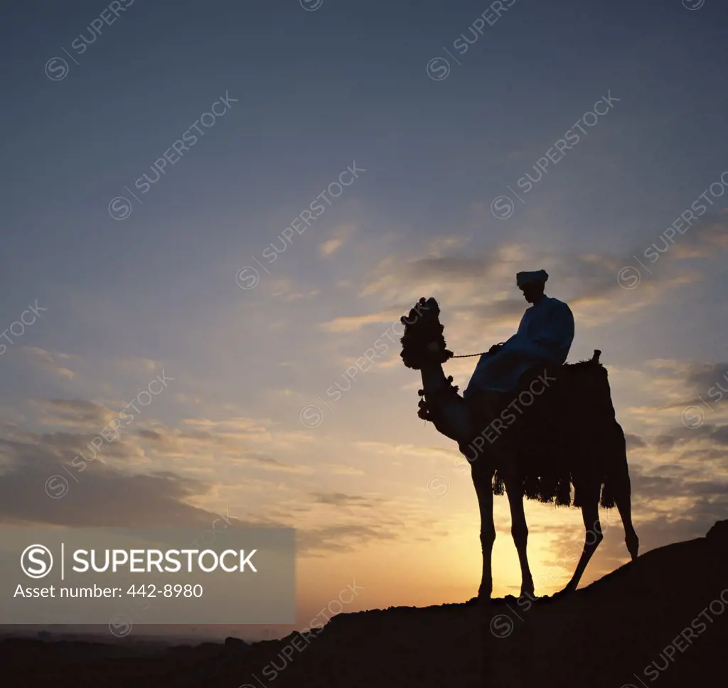 Silhouette of a man on a camel, Giza, Egypt