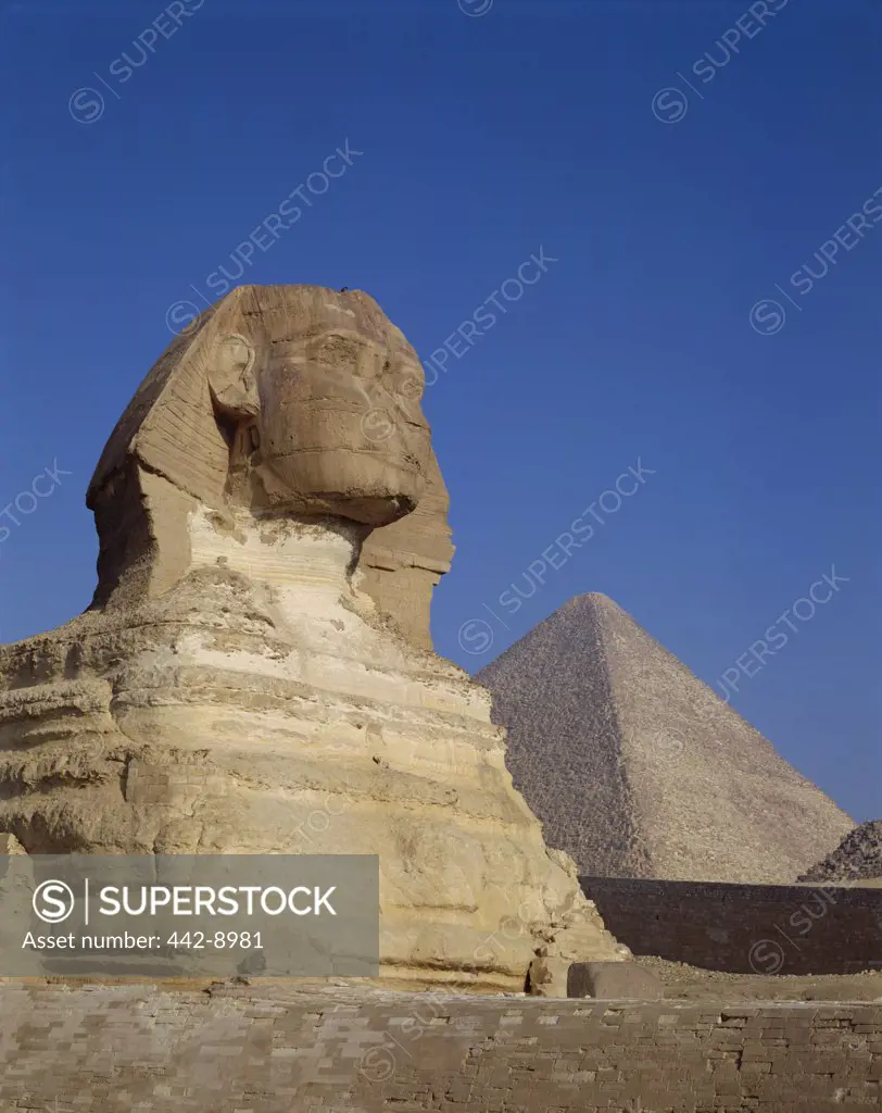Low angle view a sphinx, Great Sphinx, Giza, Egypt