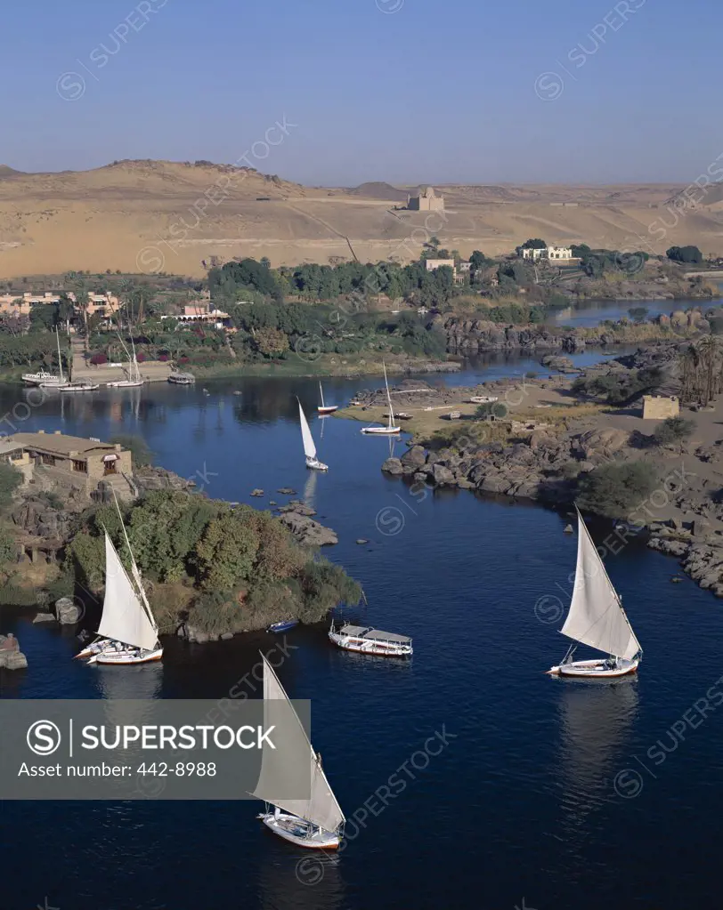High angle view of feluccas on the Nile River, Aswan, Egypt