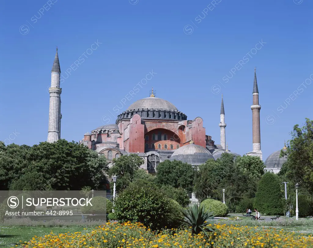 Trees in front of a mosque, Hagia Sophia, Istanbul, Turkey