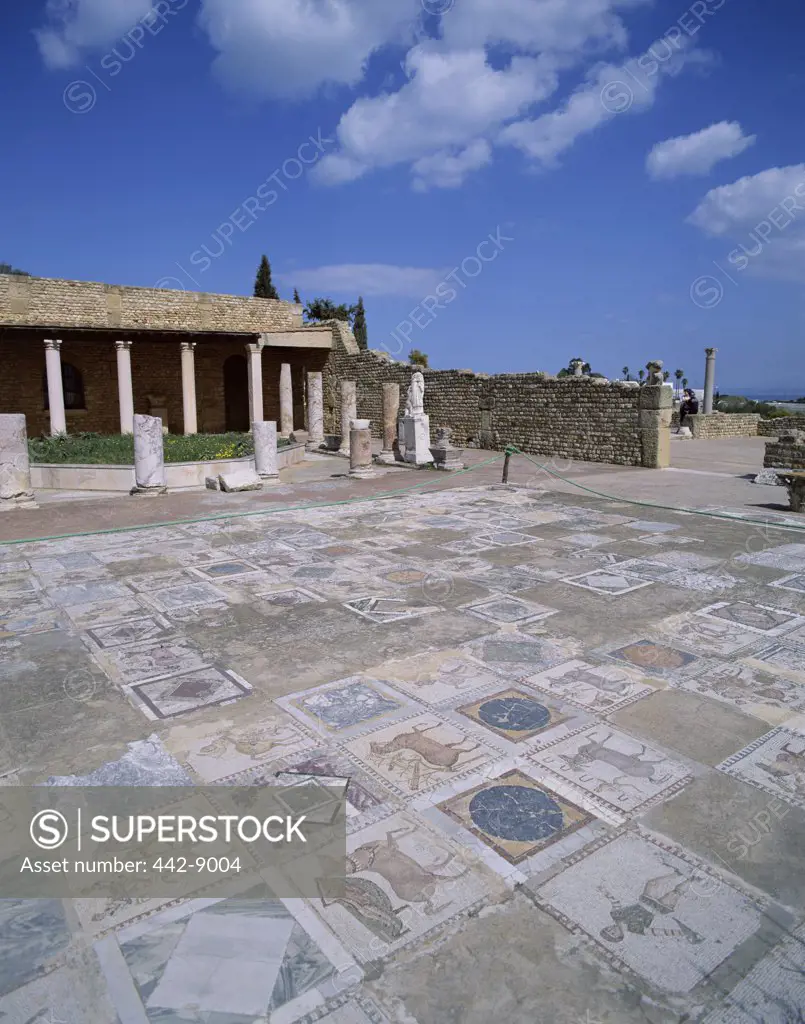 Mosaic floor in a Roman villa, Carthage, Tunis, Tunisia