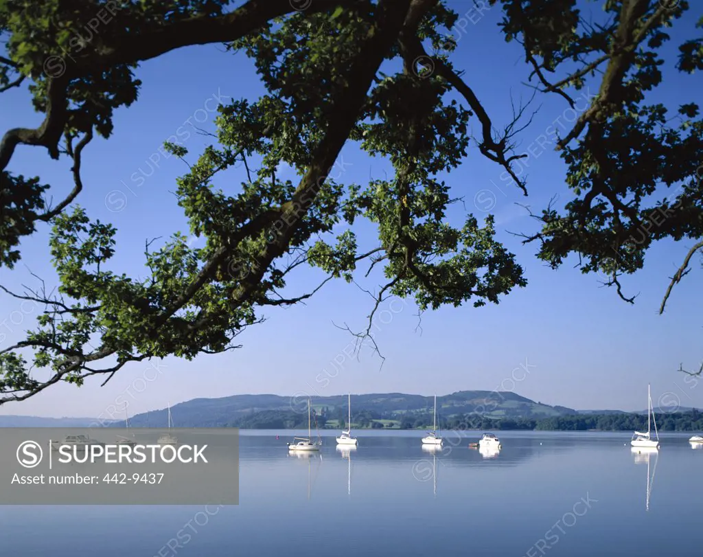 Sailboats on a lake, Windermere Lake, Lake District, Cumbria, England