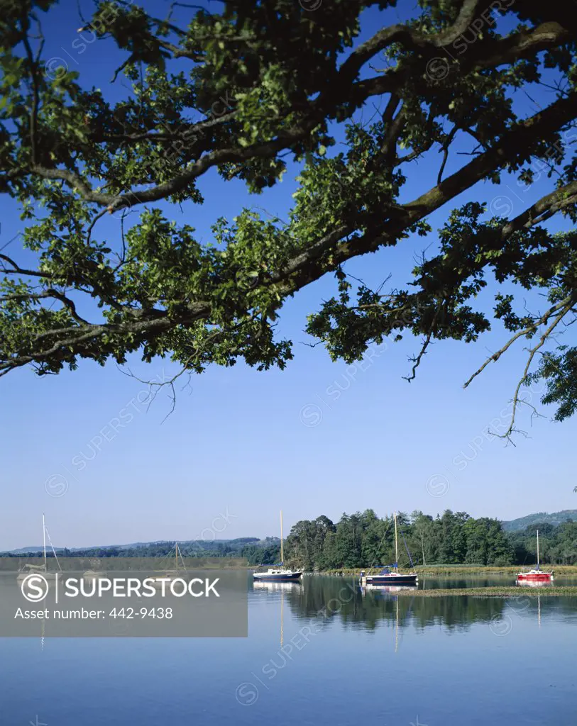 Sailboats on a lake, Windermere Lake, Lake District, Cumbria, England