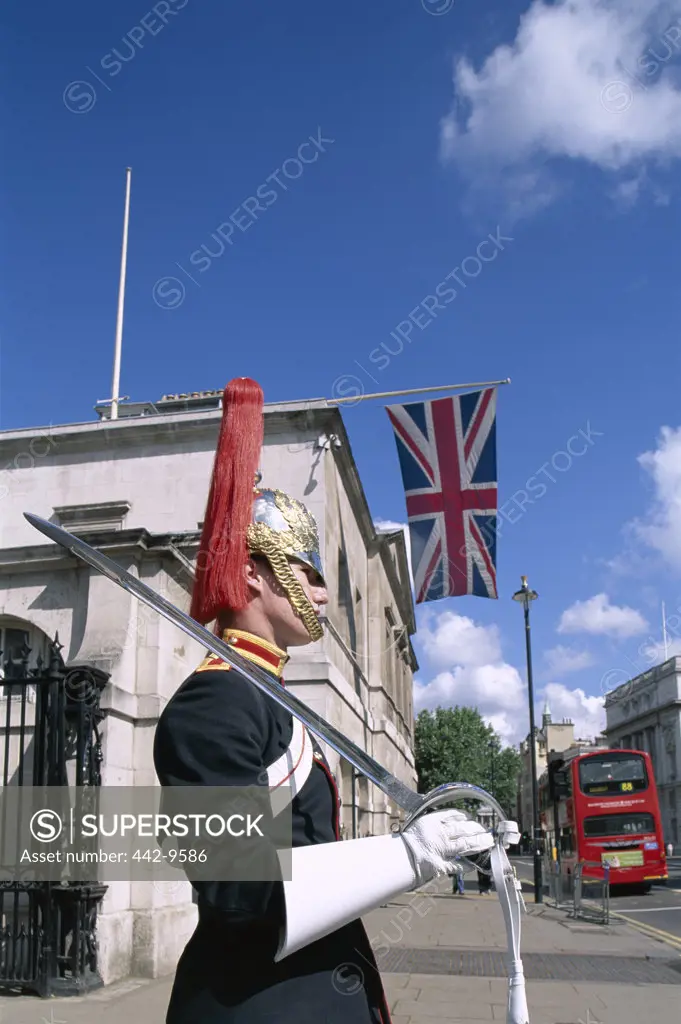 Side profile of a horse guard, London, England