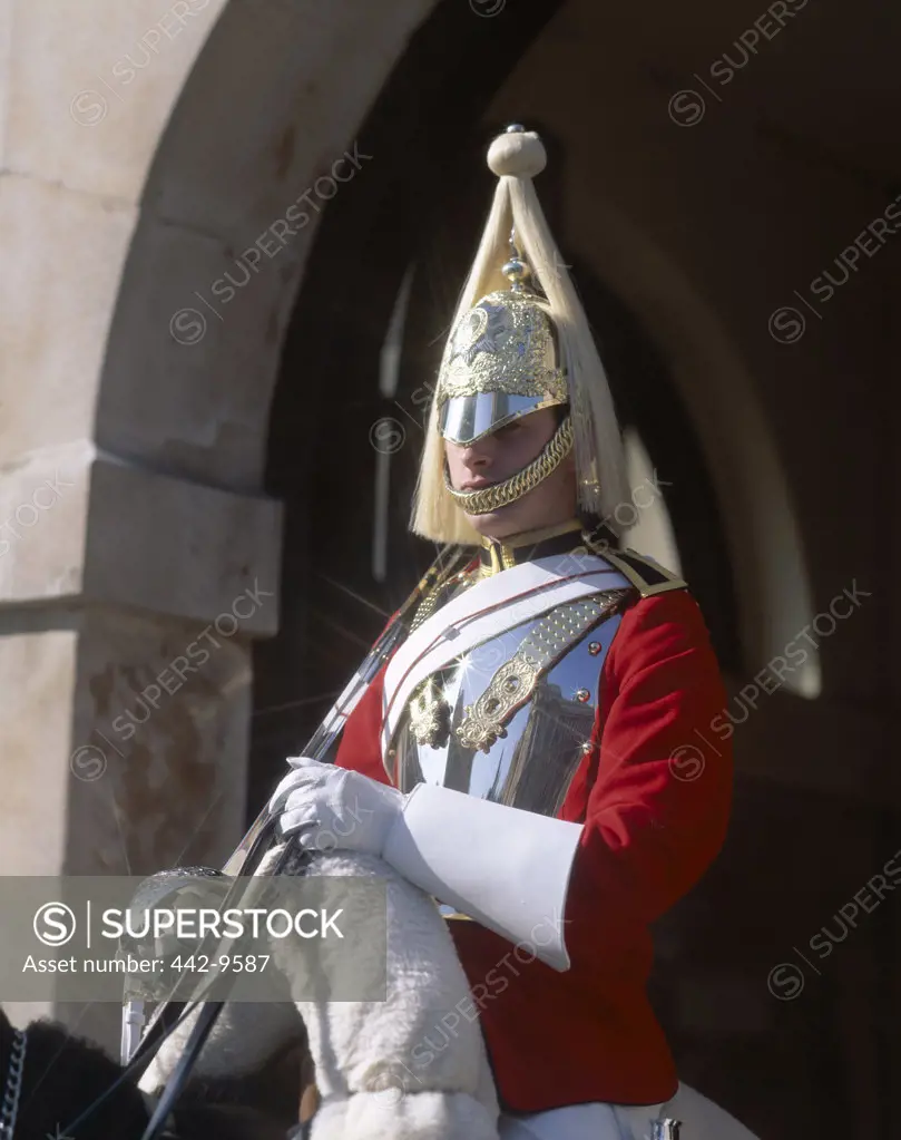 Close-up of a horse guard, London, England