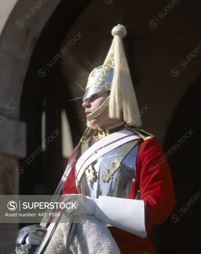 Close-up of a horse guard, London, England