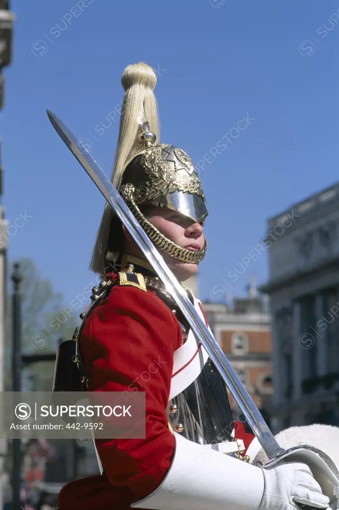 Side profile of a horse guard, London, England