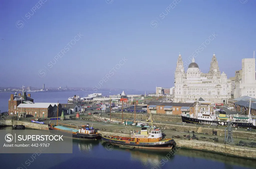 Boats moored at a dock, Albert Dock, Liverpool, England