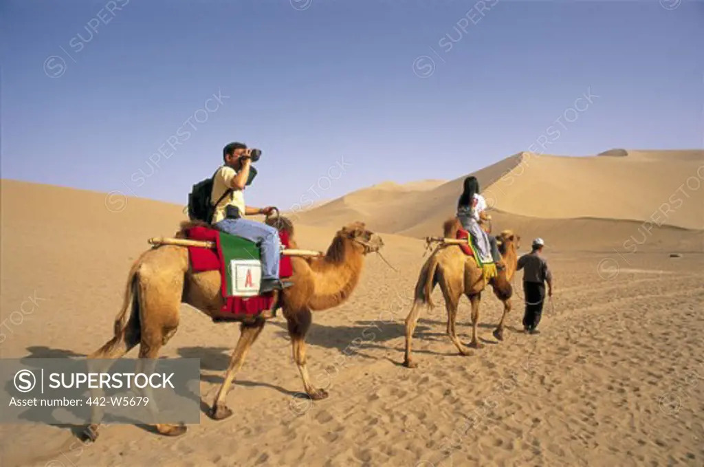 Tourists riding camels in the desert, Mount Mingshan, Dunhuang, China