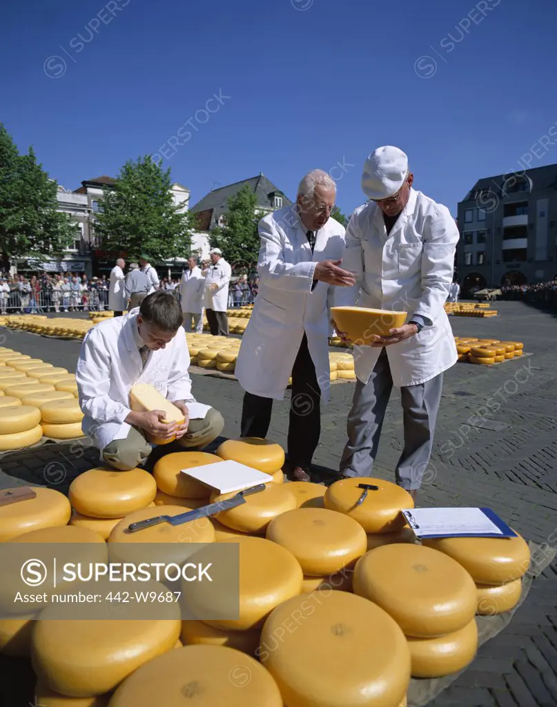 Cheese Buyers, Cheese Market, Alkmaar, Netherlands