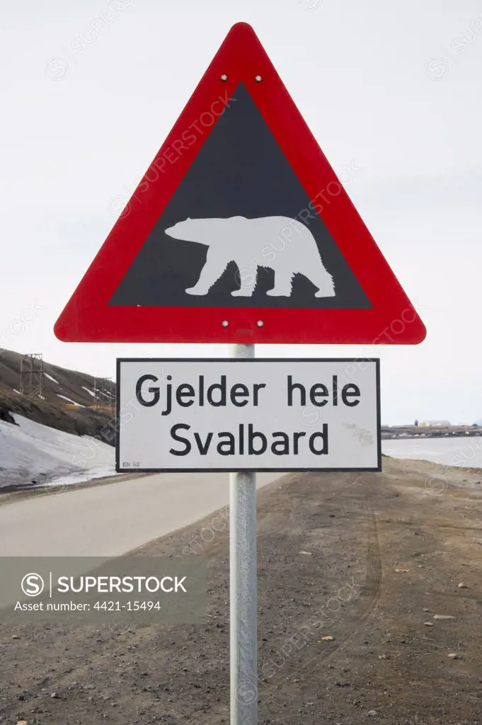 Polar Bear (Ursus maritimus) warning sign at roadside, Longyearbyen, Spitsbergen, Svalbard