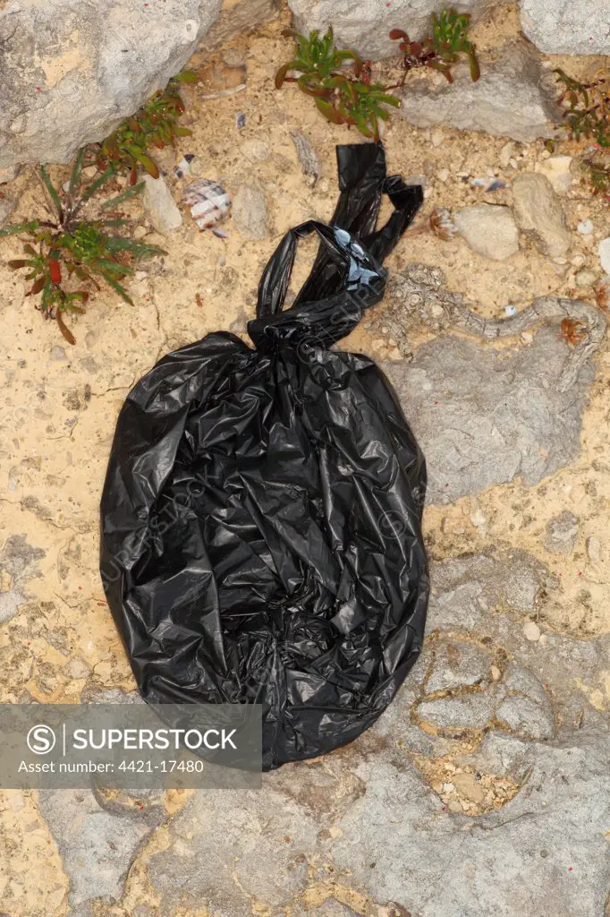 Domestic Dog, muck in plastic waste bag, left on coastal rocks, Portland Bill, Isle of Portland, Dorset, England, july