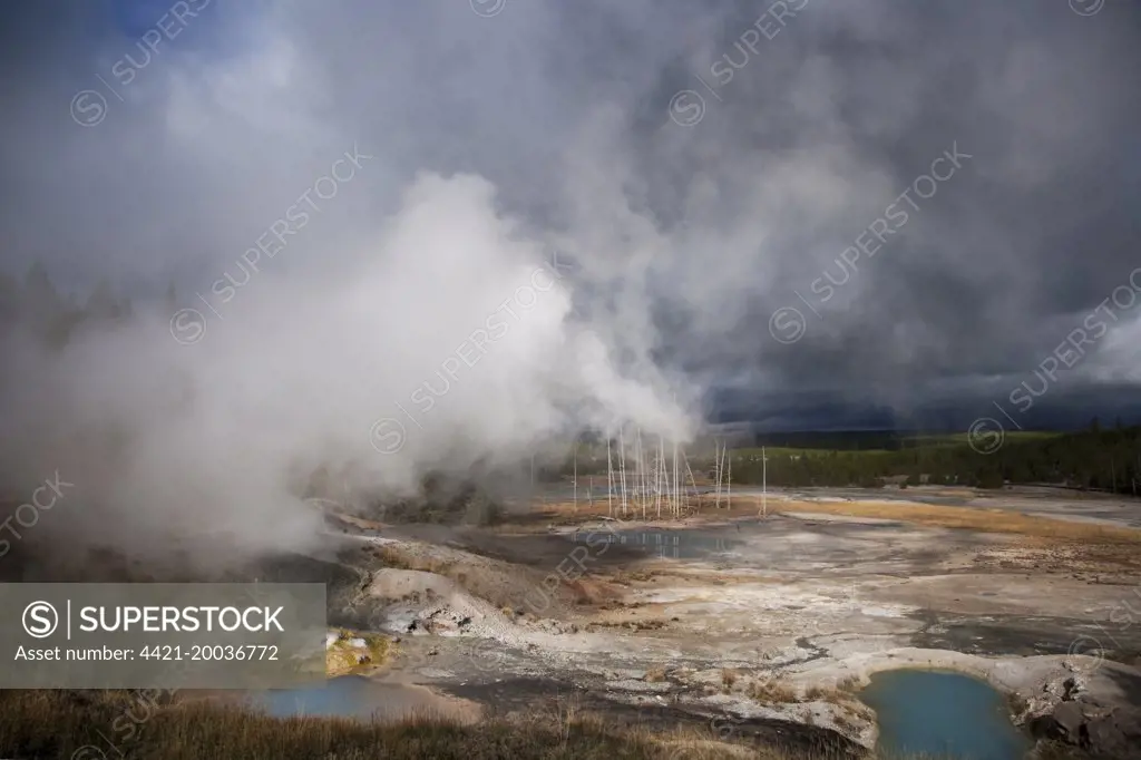 View of hotsprings with steam and approaching stormclouds, Norris Geyser Basin, Yellowstone N.P., Wyoming, U.S.A., September