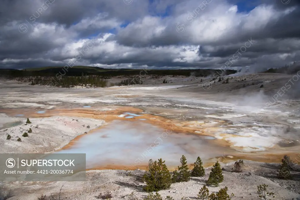 View of hotsprings with approaching stormclouds, Norris Geyser Basin, Yellowstone N.P., Wyoming, U.S.A., September