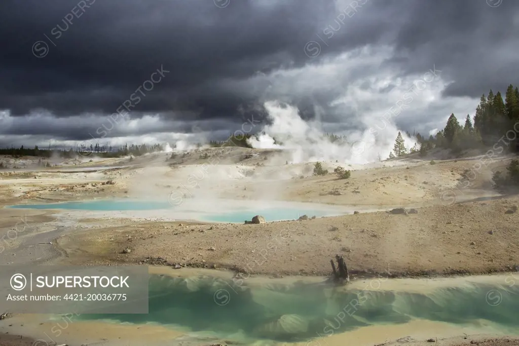 View of hotsprings with approaching stormclouds, Norris Geyser Basin, Yellowstone N.P., Wyoming, U.S.A., September