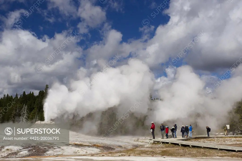 Cone-type geyser erupting, with tourists walking from boardwalk, Lion Geyser, Upper Geyser Basin, Yellowstone N.P., Wyoming, U.S.A., September