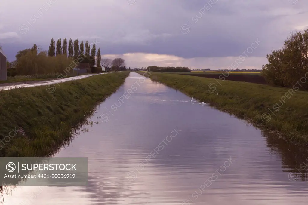View of fenland drain at sunset, Cock Bank, The Turves, Whittlesey, Cambridgeshire, England, May