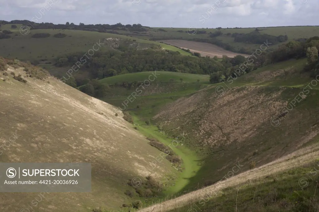 View of V-shaped dry valley habitat, Devil's Dyke, South Downs, West Sussex, England, October