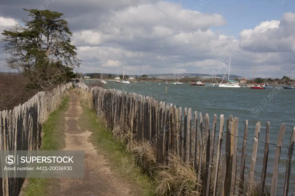 Coastal path from Itchenor to West Wittering, Manhood Peninsula, West Sussex, England, March 