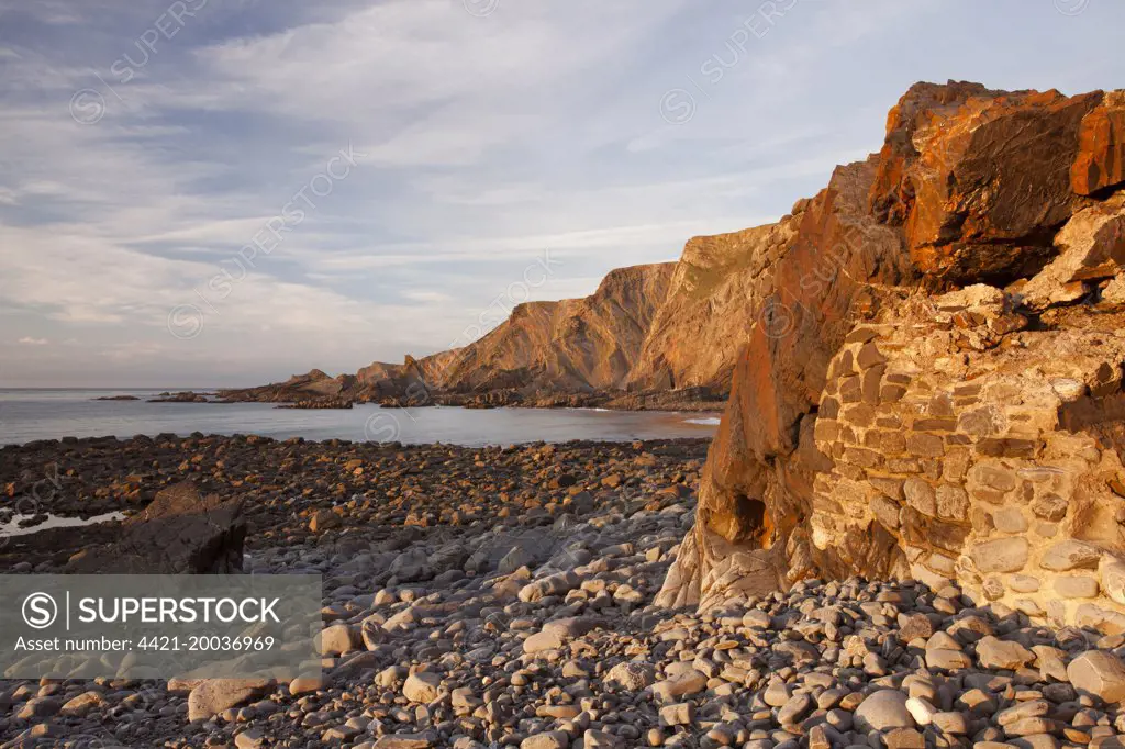 Manmade seawall and coastal cliff with folded strata at sunset, Warren Cliffs, Hartland, North Devon, England, October