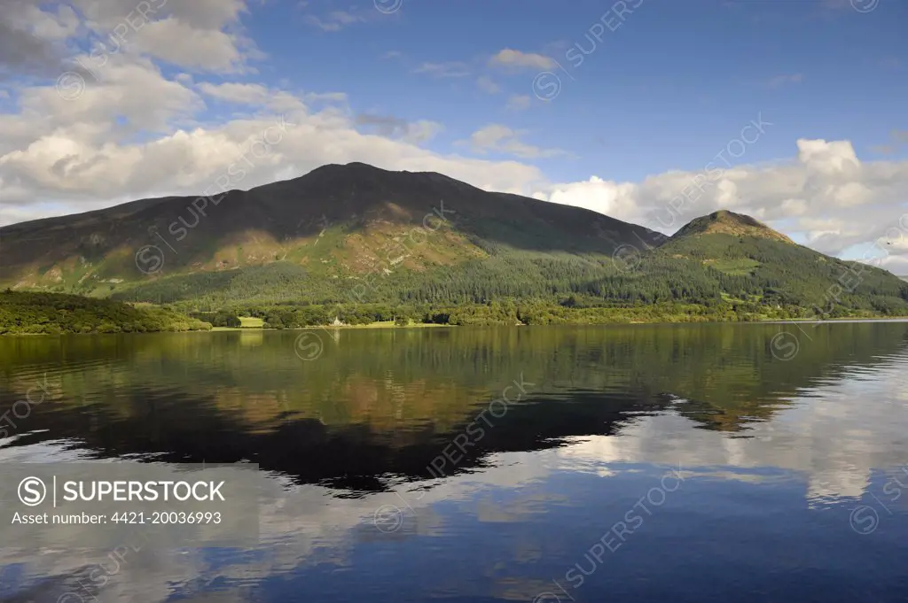 View of mountain reflected in lake, Skiddaw, Bassenthwaite Lake, Keswick, Northern Fells, Lake District N.P., Cumbria, England, September