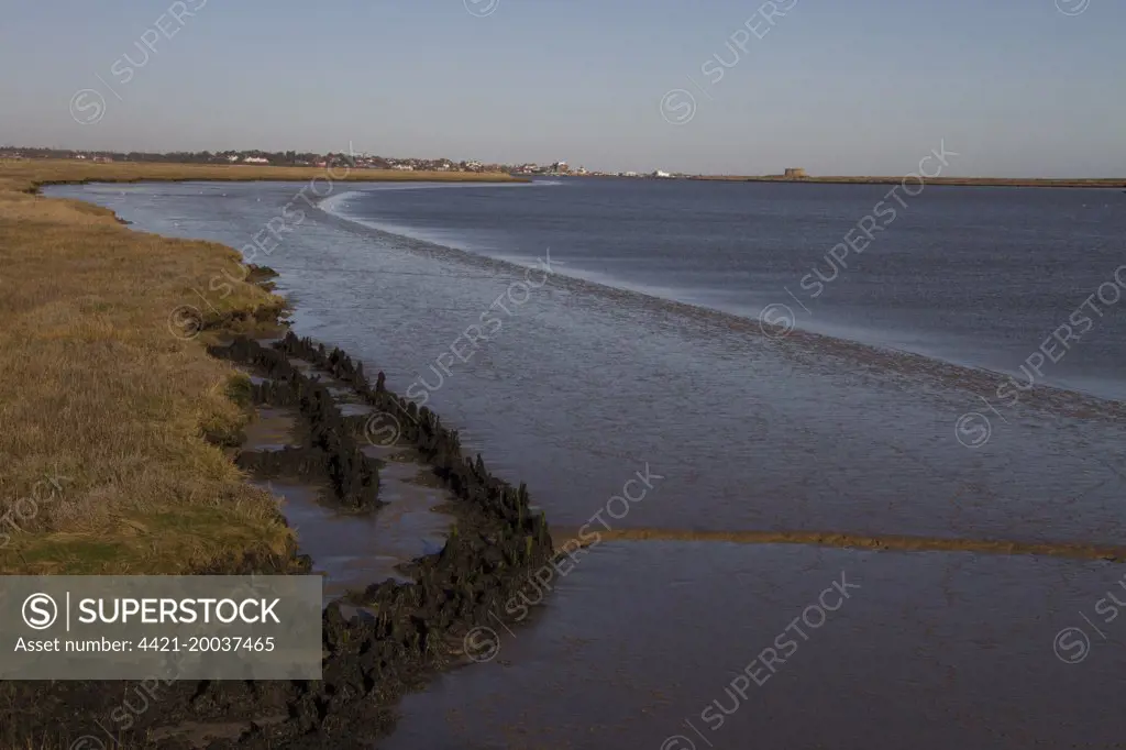 Low tide on the River Alde  has exposed some old groynes. Looking north towards Aldburgh, Suffolk.