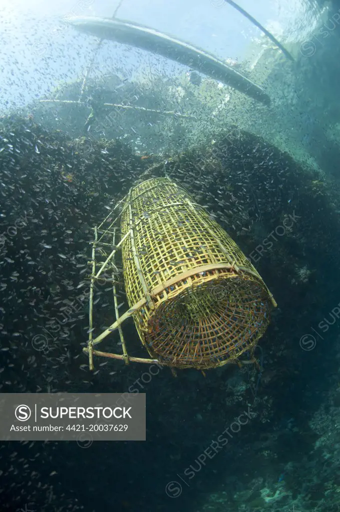 Fish basket being raised onto fishing boat, Crucifixion Point, Pantar  Island, Alor Archipelago, Lesser Sunda Islands, Indonesia, November -  SuperStock