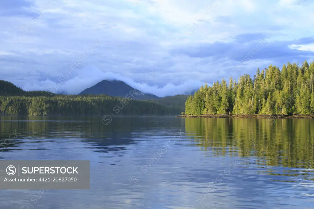 View of coastline and temperate coastal rainforest in evening, Lama Passage, Inside Passage, Coast Mountains, Great Bear Rainforest, British Columbia, Canada, August
