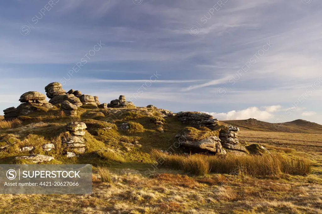 View of granite outcrop on moorland habitat in evening sunlight, with Sharp Tor and Hare Tor in distance, Arms Tor, Dartmoor N.P., Devon, England, January