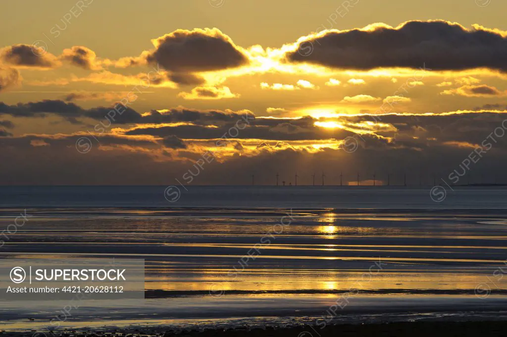 View across bay with offshore windfarm in distance at sunset, Humphrey Head, Morecambe Bay, Cumbria, England, December