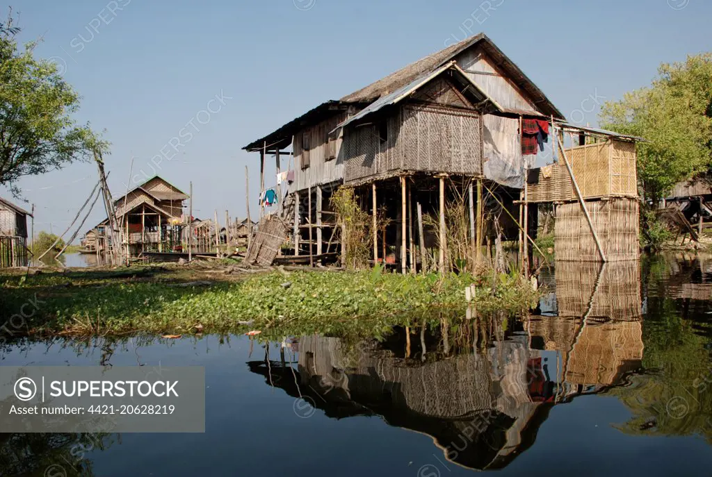 Stilted houses on edge of lake, Inle Lake, Shan State, Myanmar, January 
