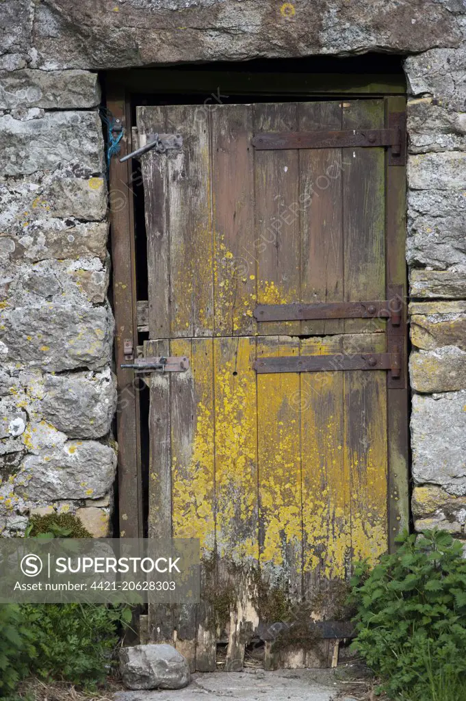 Old wooden barn door, Cumbria, England, June 