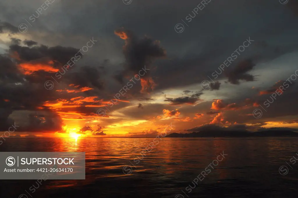View of coast at sunset, looking towards Moorea, Tahiti, Society Islands, French Polynesia, November 