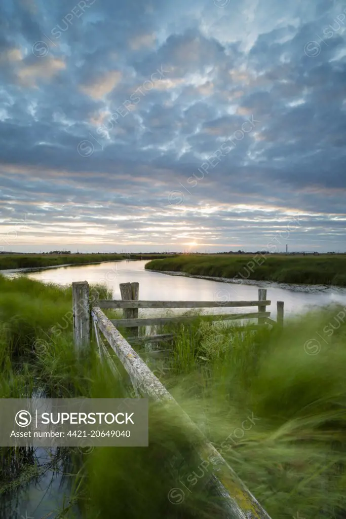 Cattle fence and flooded ditch on coastal grazing marsh in strong wind at sunset, Elmley Marshes N.N.R., North Kent Marshes, Isle of Sheppey, Kent, England, July