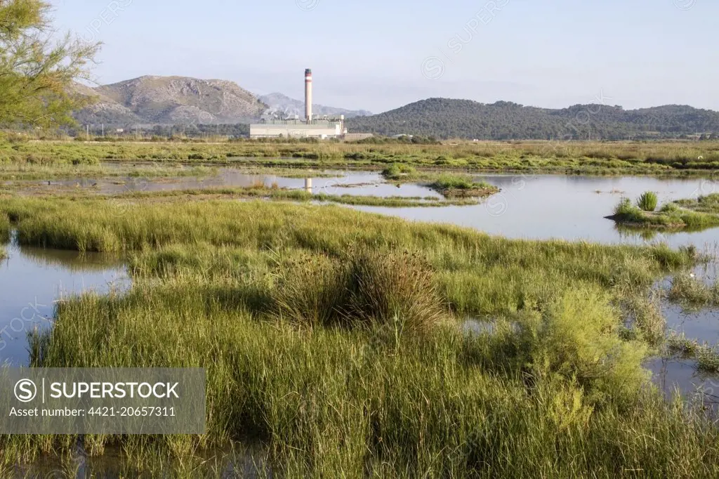 View of marshland habitat with Es Murterar coal-fired powerstation in distance, S'Albufera De Mallorca Natural Park, Muro and Sa Pobla, Majorca, Balearic Islands, Spain, June