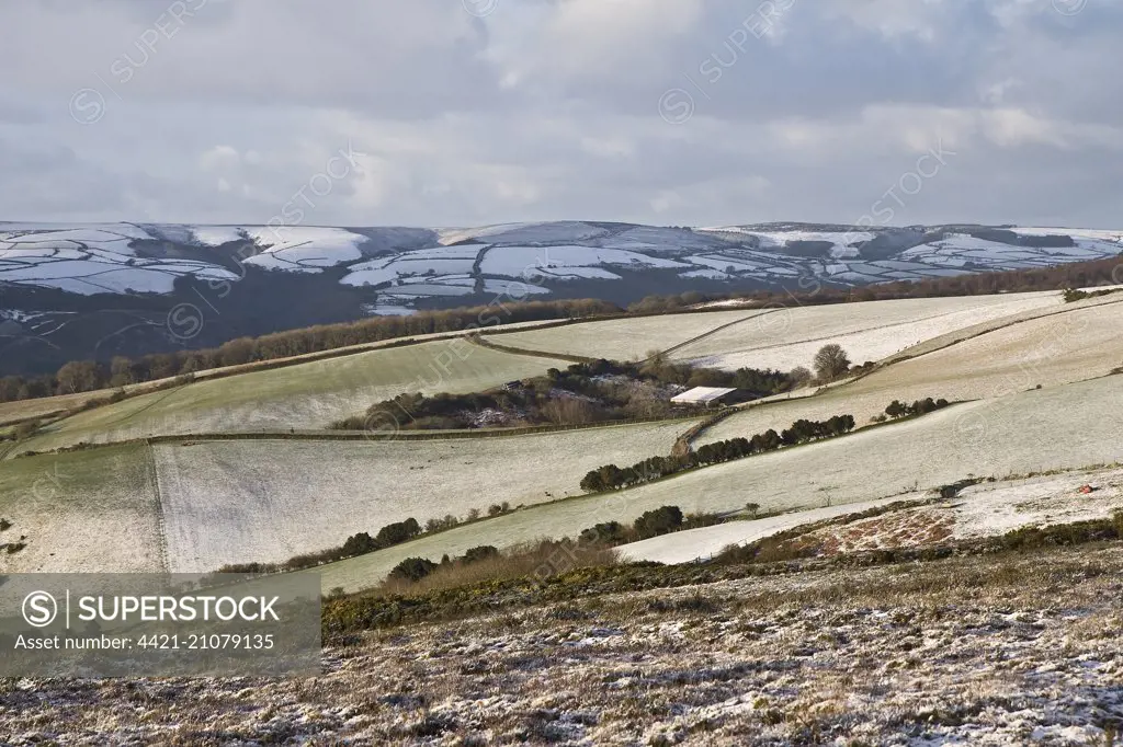 View of snow covered farmland, Exmoor N.P., Somerset, England, January 