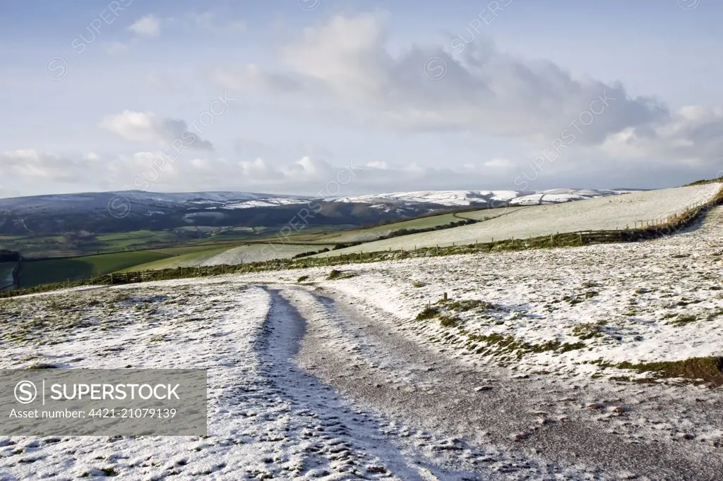 View of snow covered farmland, Exmoor N.P., Somerset, England, January 