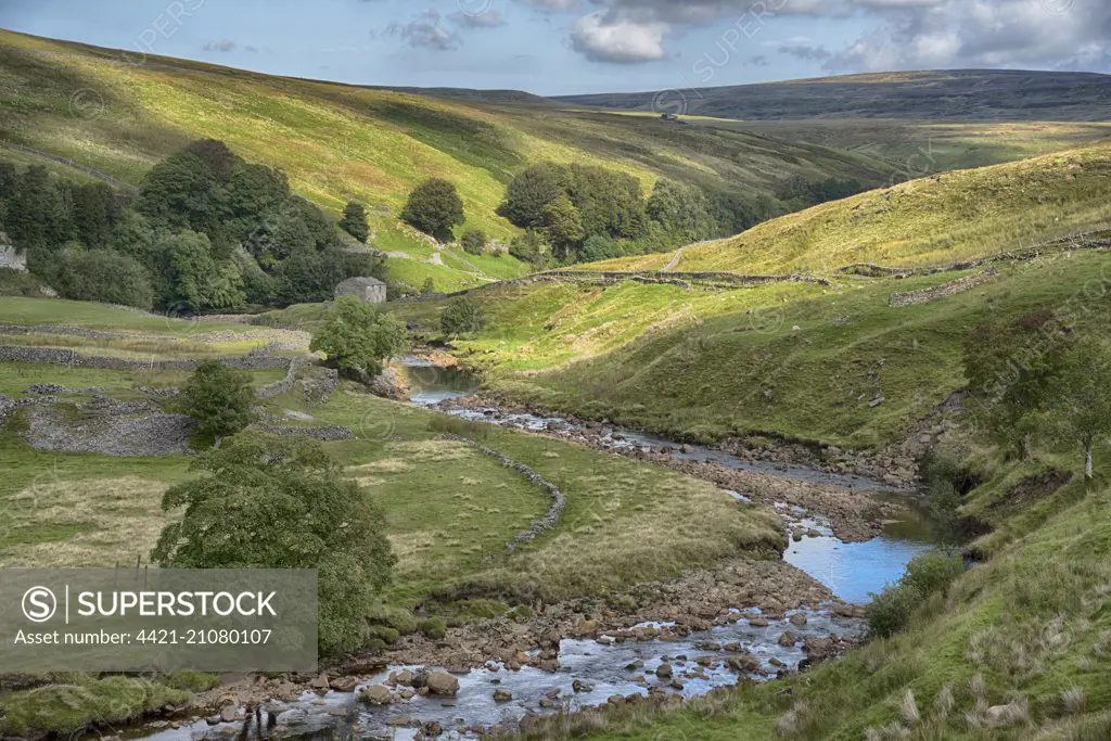 View of river, drystone walls and stone barn, River Swale, near Keld, Swaledale, Yorkshire Dales N.P., North Yorkshire, England, September