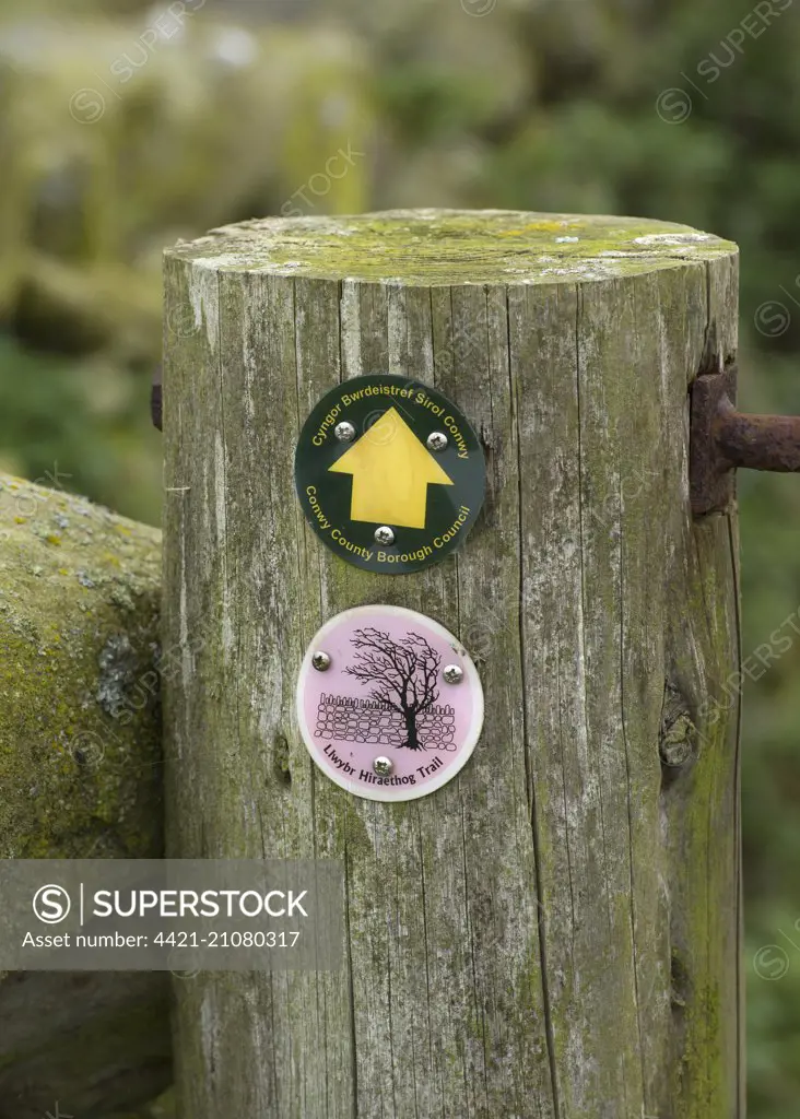 'Llwybr Hiraethog Trail' footpath sign on wooden gatepost, Conwy, North Wales, September 