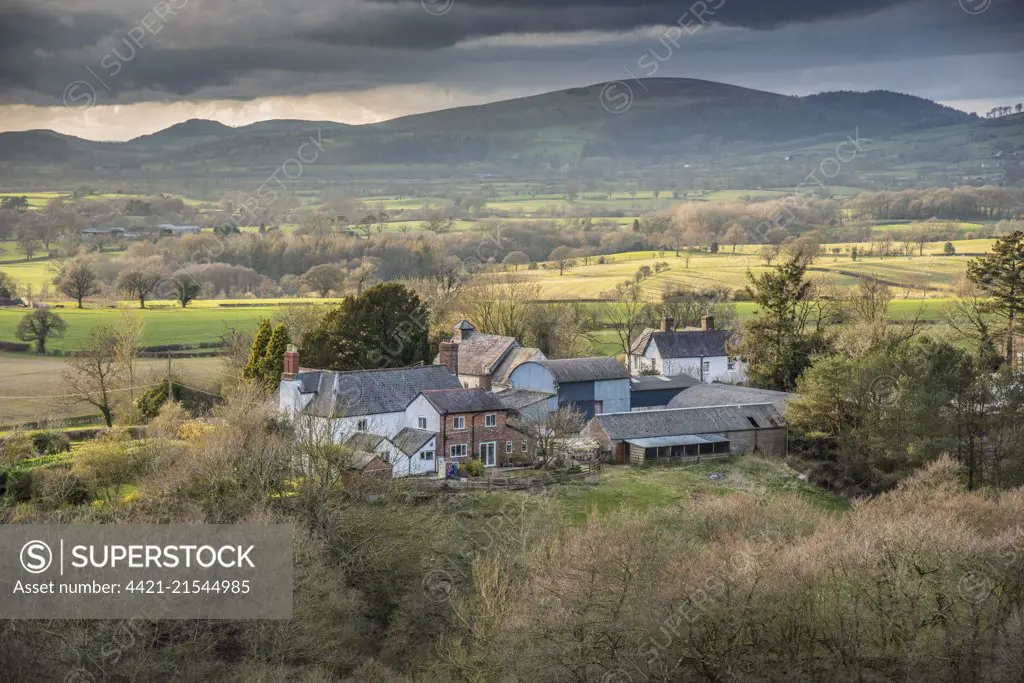 View of farmhouse, barns and farmland, Lydbury North, Shropshire, England, April 