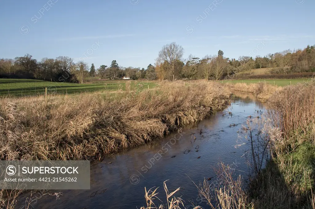 The River Beck is a tributary to the River Waveney viewed here at Starston, Norfolk