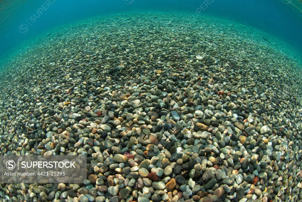 View of multi-coloured pebbles in shallows near shore, Tutuntute, Wetar Island, Barat Daya Islands, Lesser Sunda Islands, Maluku Province, Indonesia