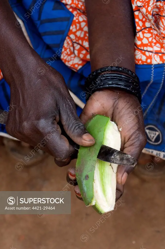 Banana (Musa sp.) fruit, peeled by lady, staple food source, Rwanda