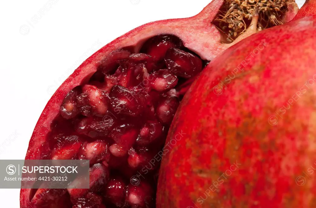 Pomegranate (Punica granatum) close-up of sliced fruit