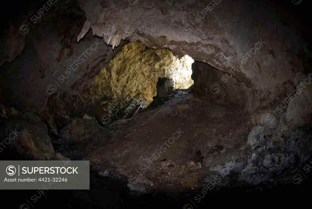 Cave exit hole, Mammoth Cave, Margaret River, Western Australia, Australia