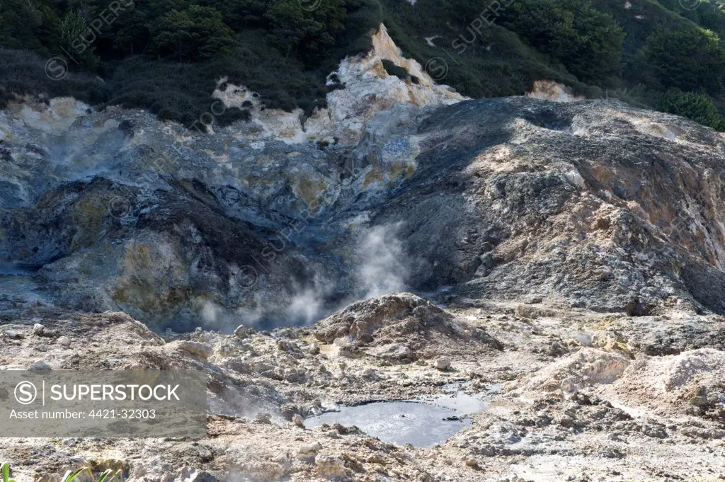Boiling mud pools and steam on slope of active stratovolcano, Soufriere Volcano, St. Lucia, Windward Islands, Lesser Antilles