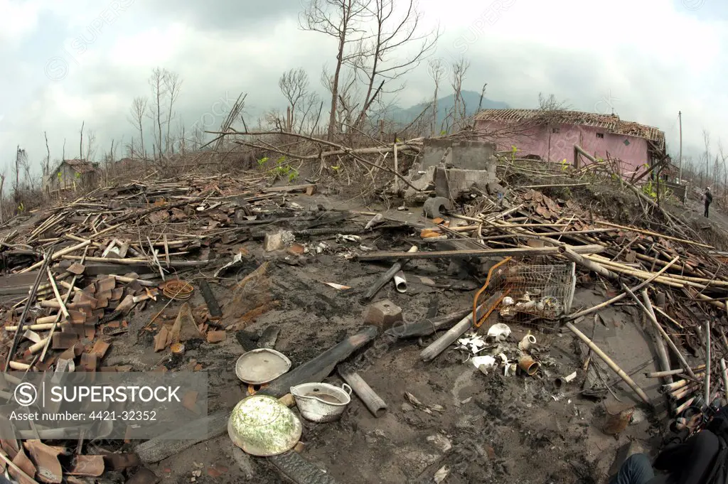 Ash covered debris, dead trees and damaged house, from recent volcanic eruption, Umbulharjo, Cangkringan, Mount Merapi, Central Java, Indonesia, november 2010